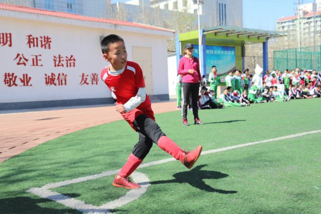 羽毛球亚锦赛：石宇奇男单登顶 国羽两冠两亚收官